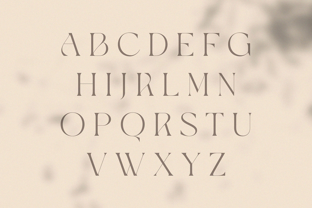 Giflika // Modern Display Serif, a Serif Font by BrandSemut (Photo 10 of 11)