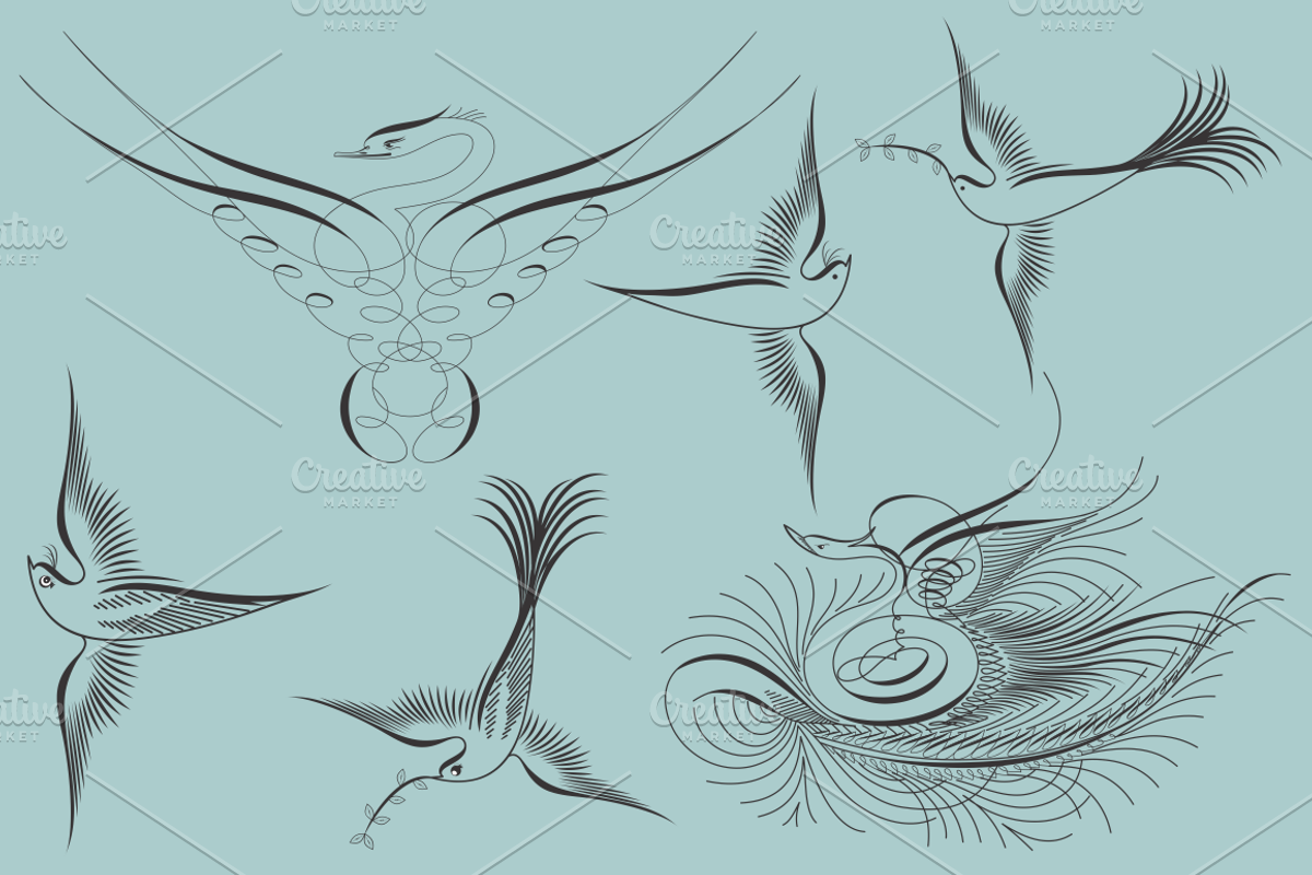 Zanner Birds Vector Collection preview 3
