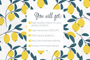 Lemon Cliparts, Frames & Patterns, a Decorative Illustration by Panna Limon Store (Thumbnail 17 of 18)
