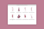 Rose Quartz Pressed Botanical PNG, an Object Graphic by Custom Scene (Thumbnail 3 of 8)