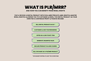 MRR Instagram Growth Course IG PLR, a Social Media Template by Design By Hira (Thumbnail 5 of 9)