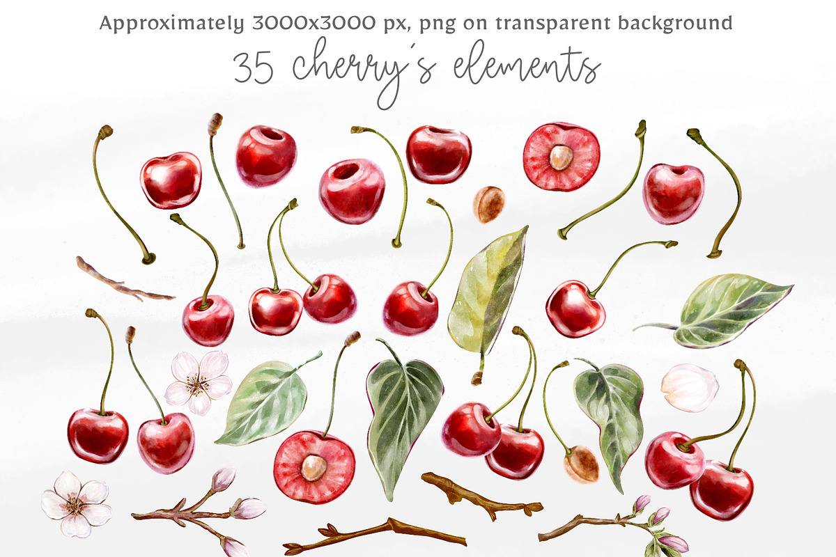 Cherry Romance Watercolor Collection, a Decorative Illustration by Shabbypie (Photo 2 of 5)