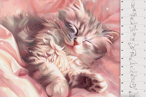 Cats Procreate Photoshop Brushes