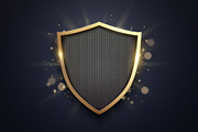 Luxury Golden Shield With Metal Mesh, a Decorative Illustration by Black White Mouse Design (Thumbnail 1 of 3)