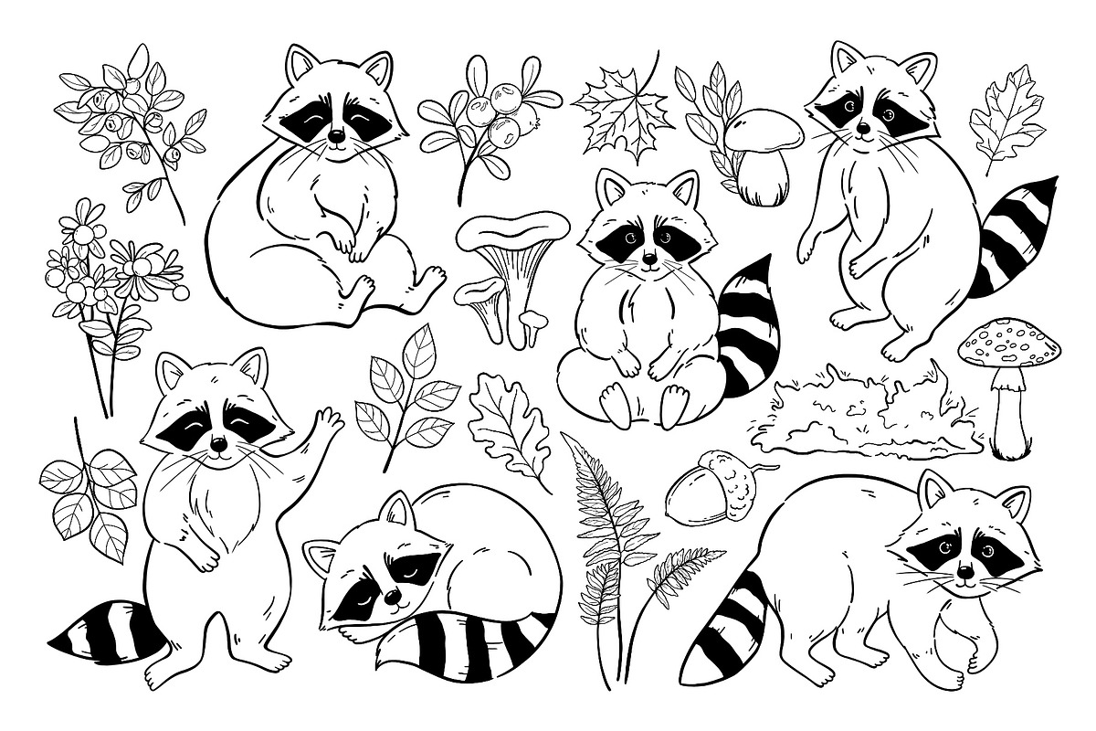Hand-Drawn Raccoon Clipart PNG SVG, an Animal Illustration by ArtGiftsStudio (Photo 3 of 5)