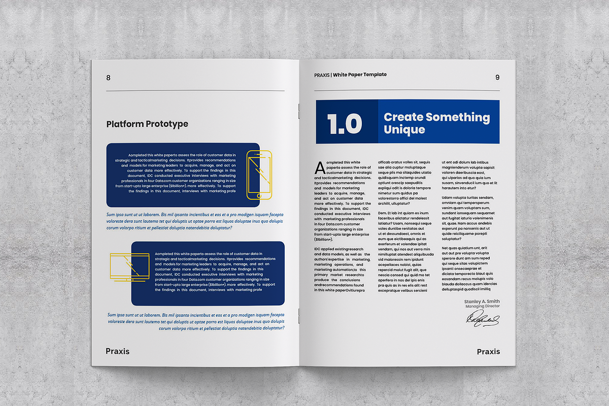 White Paper Template, a Brochure Template by azadcsstune (Photo 2 of 15)