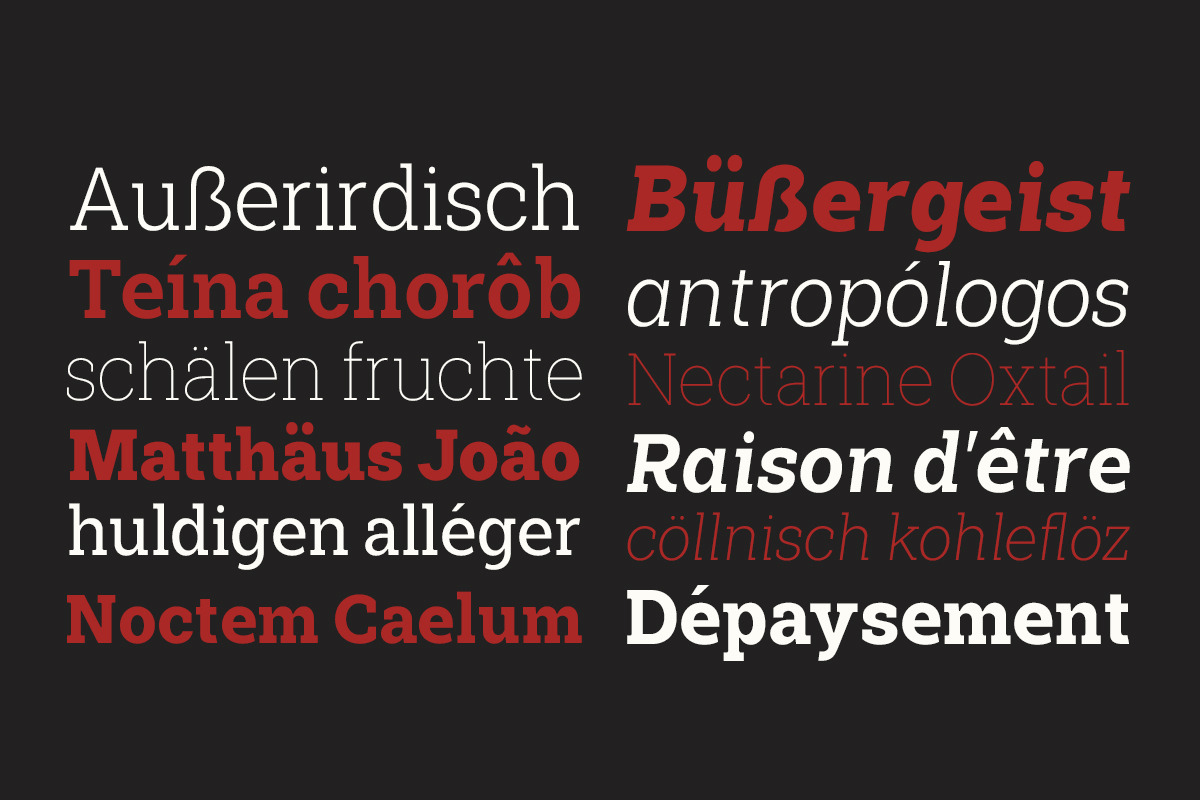 Shemekia, a Slab Serif Font by Areatype (Photo 4 of 15)