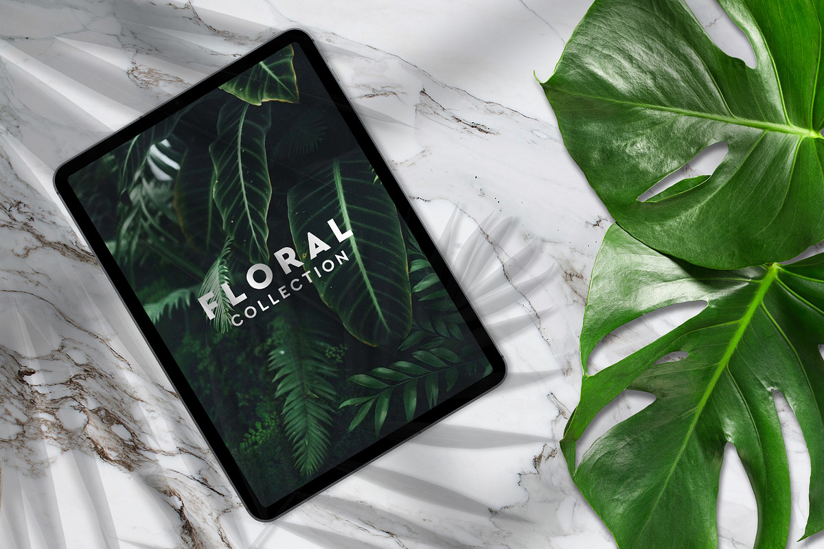 Big Pack Scene Generator, a Cups & Container Mockup by Mila (Photo 37 of 44)
