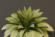 The Haran Bush, a Plants & Tree 3D Model by FuturePastCreatives (Thumbnail 4 of 13)