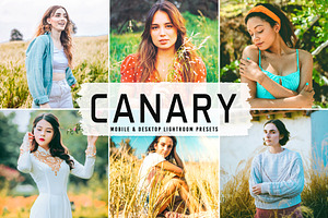 Canary Pro Lightroom Presets