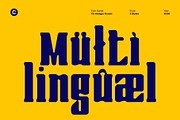 CS Alsager Drawn, a Serif Font by Craft Supply Co. (Thumbnail 6 of 8)