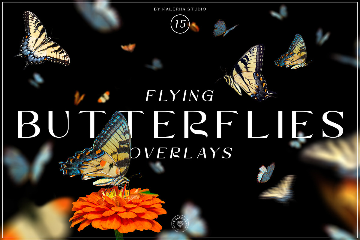 MEGA BUNDLE 2400+ Overlays, a Texture Graphic by Kaleriia (Photo 290 of 300)