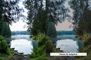 20 Vintage Nature Lightroom Presets, a Preset Add-On by SparkleStock (Thumbnail 5 of 17)
