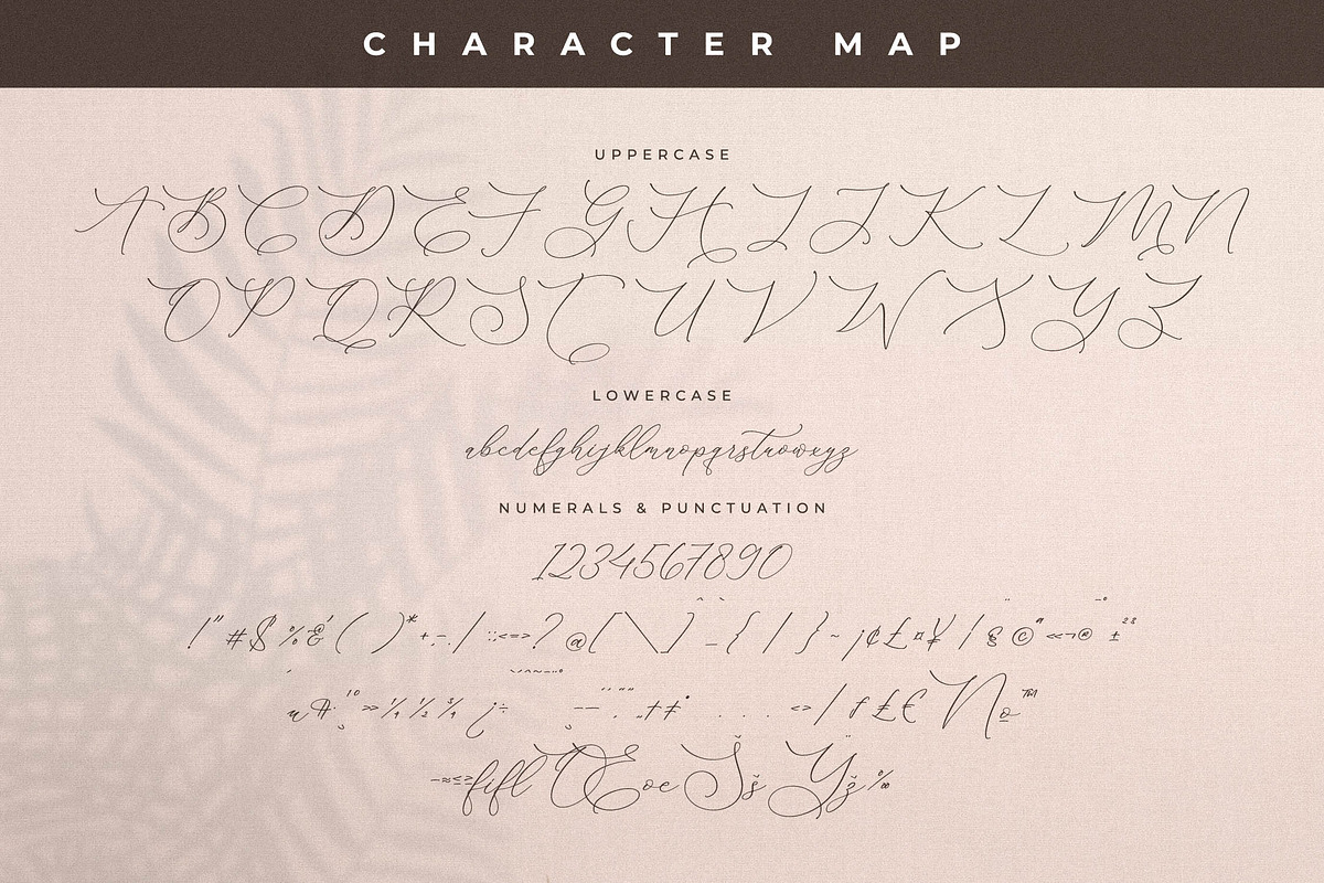 Storyline Regario Font Duo, a Serif Font by Storytype Studio (Photo 13 of 15)