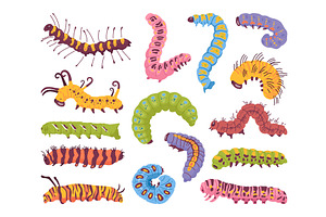 Colorful Caterpillars. Crawling