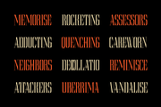 Theome – Serif Display Font, a Serif Font by MooneseyeType (Thumbnail 2 of 9)