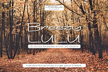 Breezy Lulu Handwritten