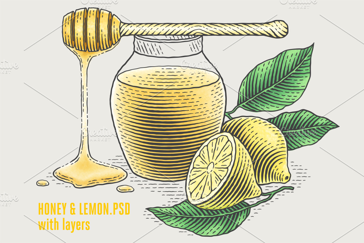 Herbs Bundle engravings, a Food Illustration by Irina Trusova (Photo 8 of 9)