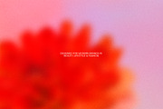 Bold Bloom – Floral Backgrounds, a Background Graphic by StudioMorf (Thumbnail 12 of 14)