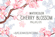 Watercolor cherry blossom, an Illustration by Color_Brush (Thumbnail 1 of 5)