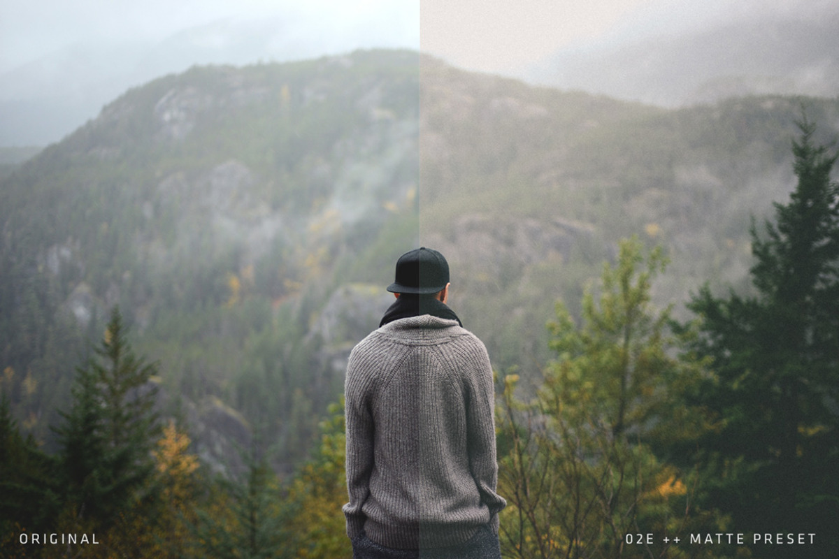 Digital Film Supply 02 - LR Presets preview 5