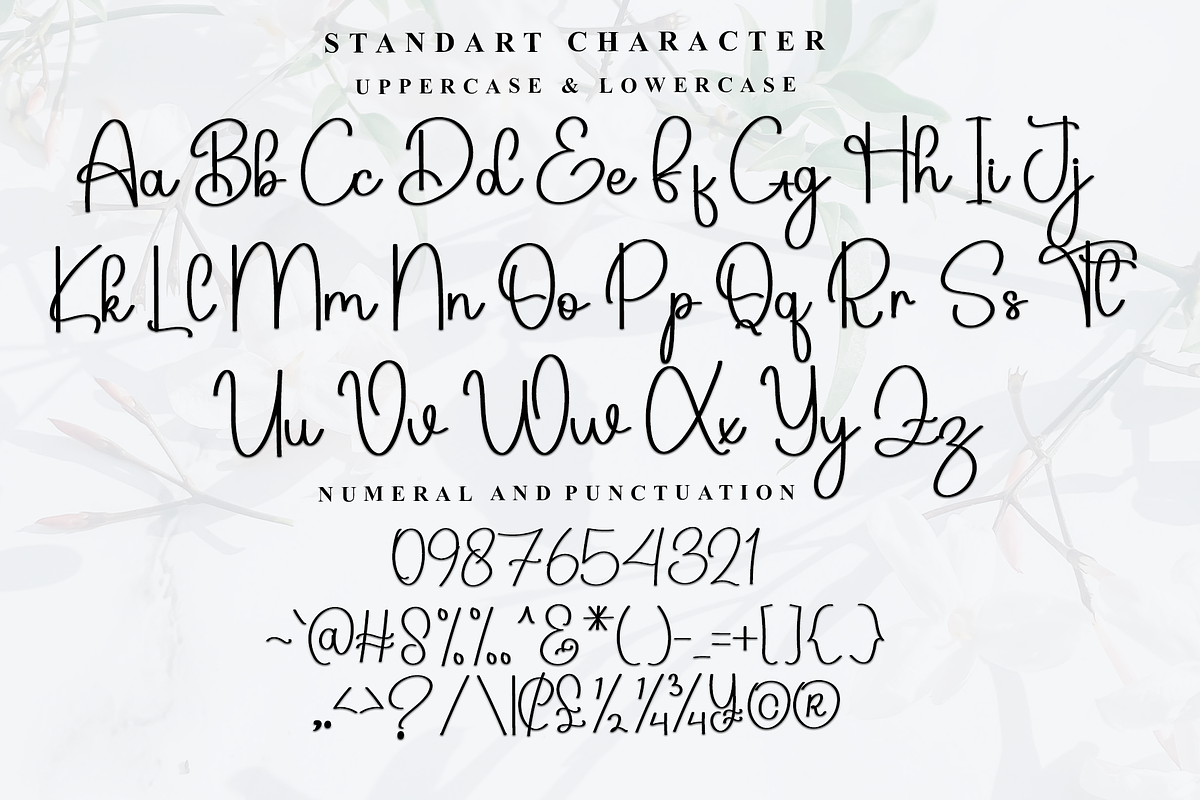 Bridgen, a Handwritten Font by InermediaSTUDIO (Photo 4 of 7)