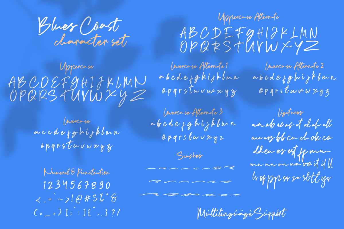 Blues Coast - Handwritten Font preview 7
