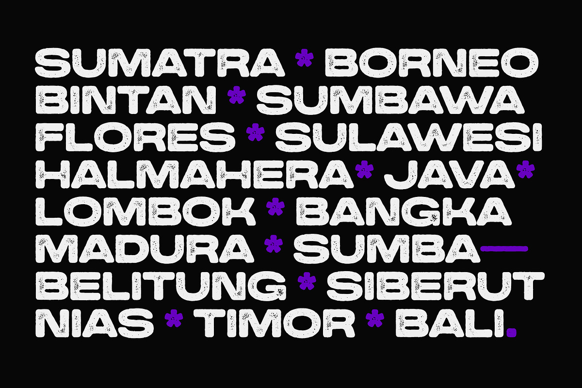 Gelegar Press, a Sans Serif Font by Locomotype (Photo 5 of 6)