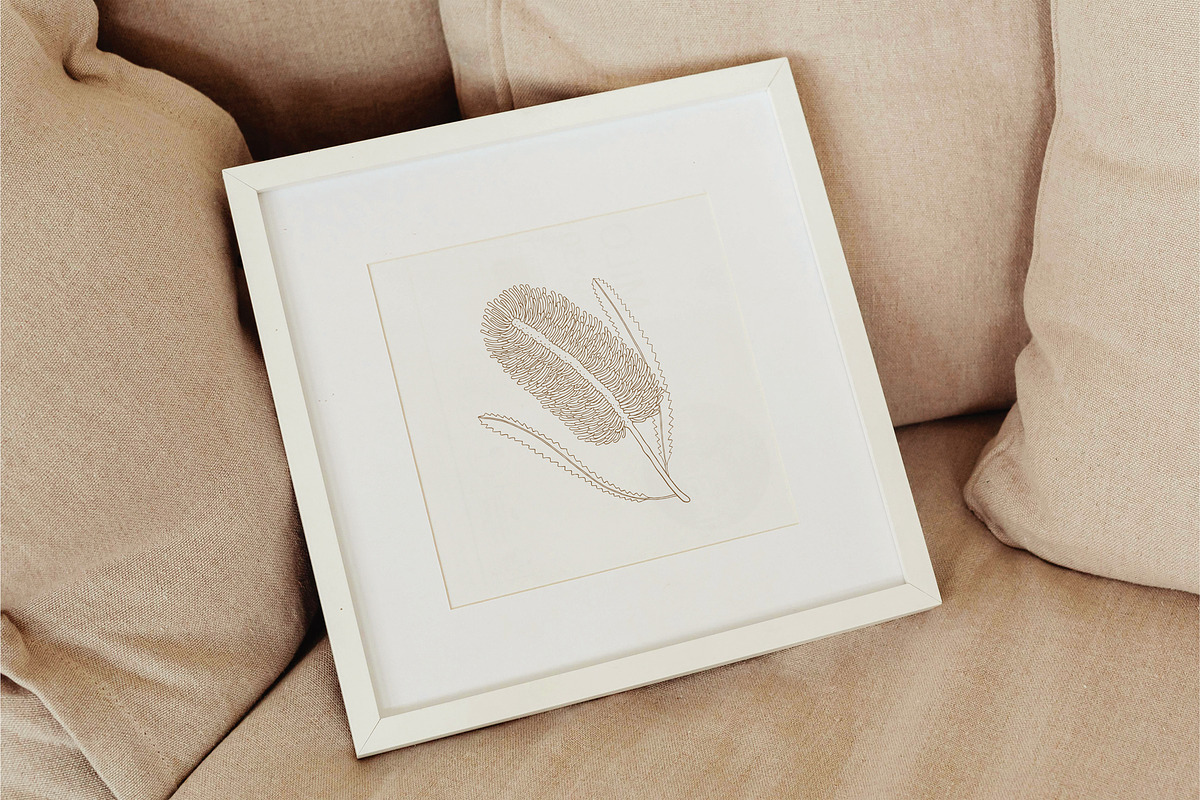 Australian Botanical Illustrations, a Decorative Illustration by rouxsupplyco (Photo 10 of 13)