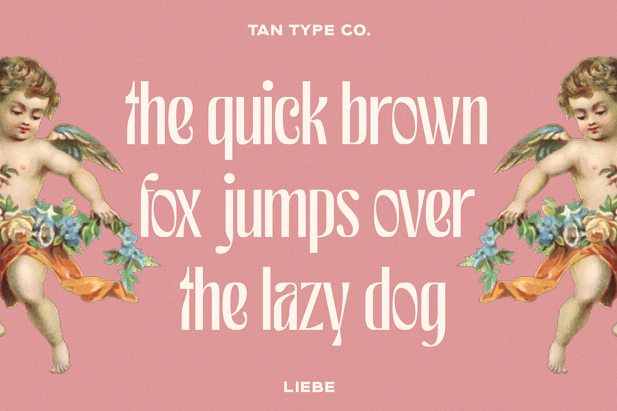 TAN - LIEBE, a Font by TanType (Photo 11 of 12)
