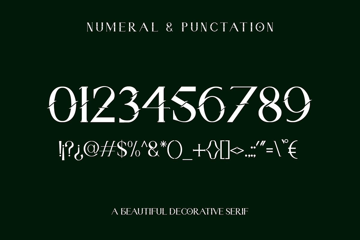 Brove | Beautiful Decorative Serif, a Serif Font by Hole Hope Design (Photo 4 of 7)