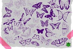 120 Butterfly Procreate Stamps