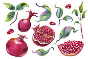 Watercolor pomegranates png clipart, an Illustration by Alena Kurian (Thumbnail 2 of 4)