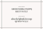 Hottman Ligature Serif Typeface, a Serif Font by Humaira_std (Thumbnail 8 of 10)