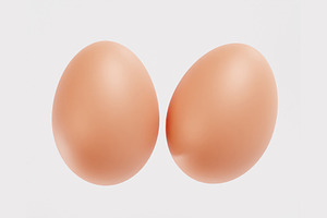 Egg model, an Object 3D Model by fahad121