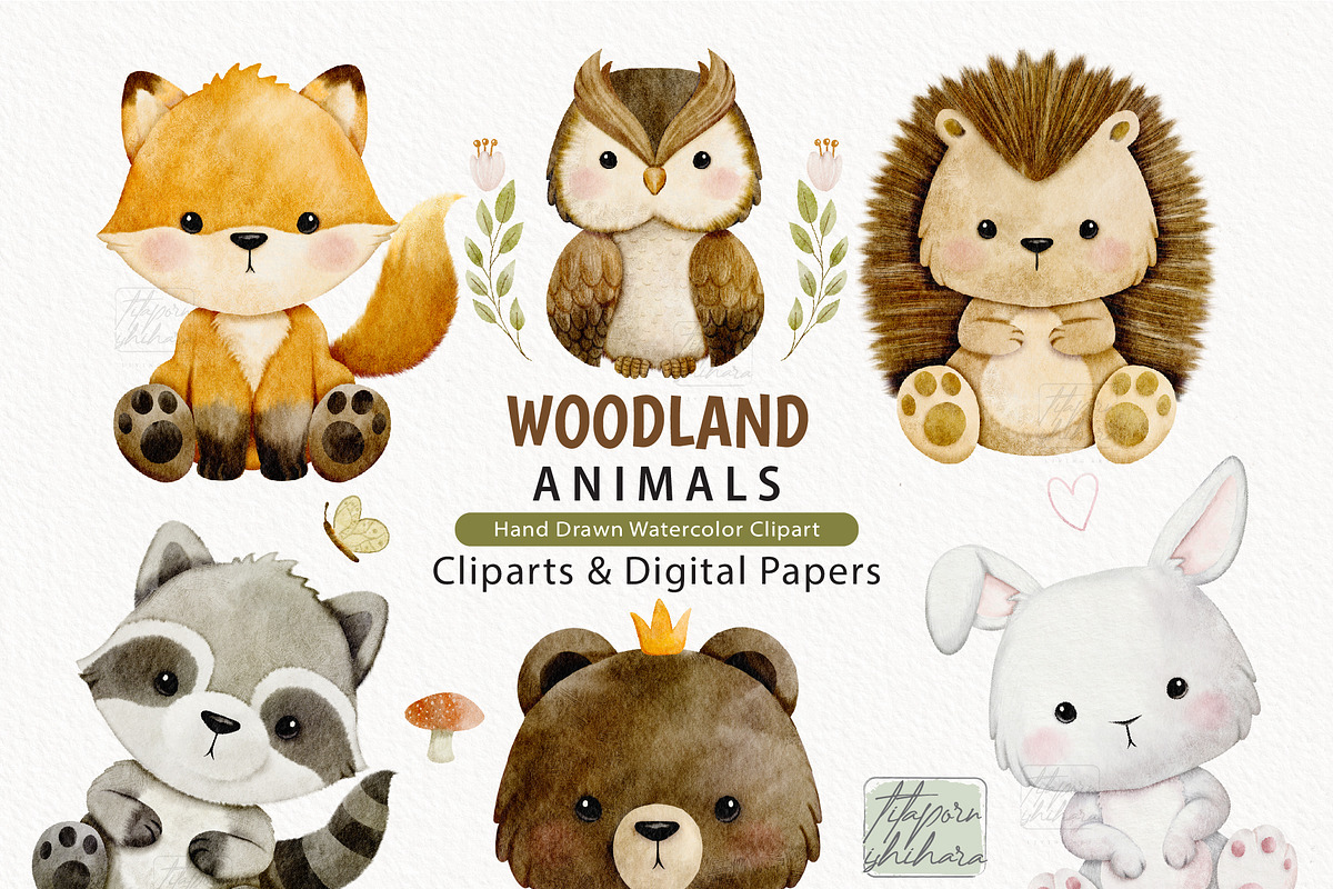 Watercolor Woodland Animals Clipart, an Animal Illustration by TitaLivingArt (Photo 11 of 11)