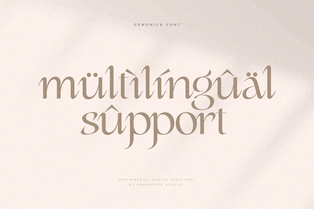 gemonica - experimental serif font, a Serif Font by Sensatype (Photo 16 of 17)