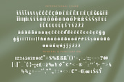 Bistika Modern Display Serif, a Serif Font by timelesstype.co (Thumbnail 18 of 20)