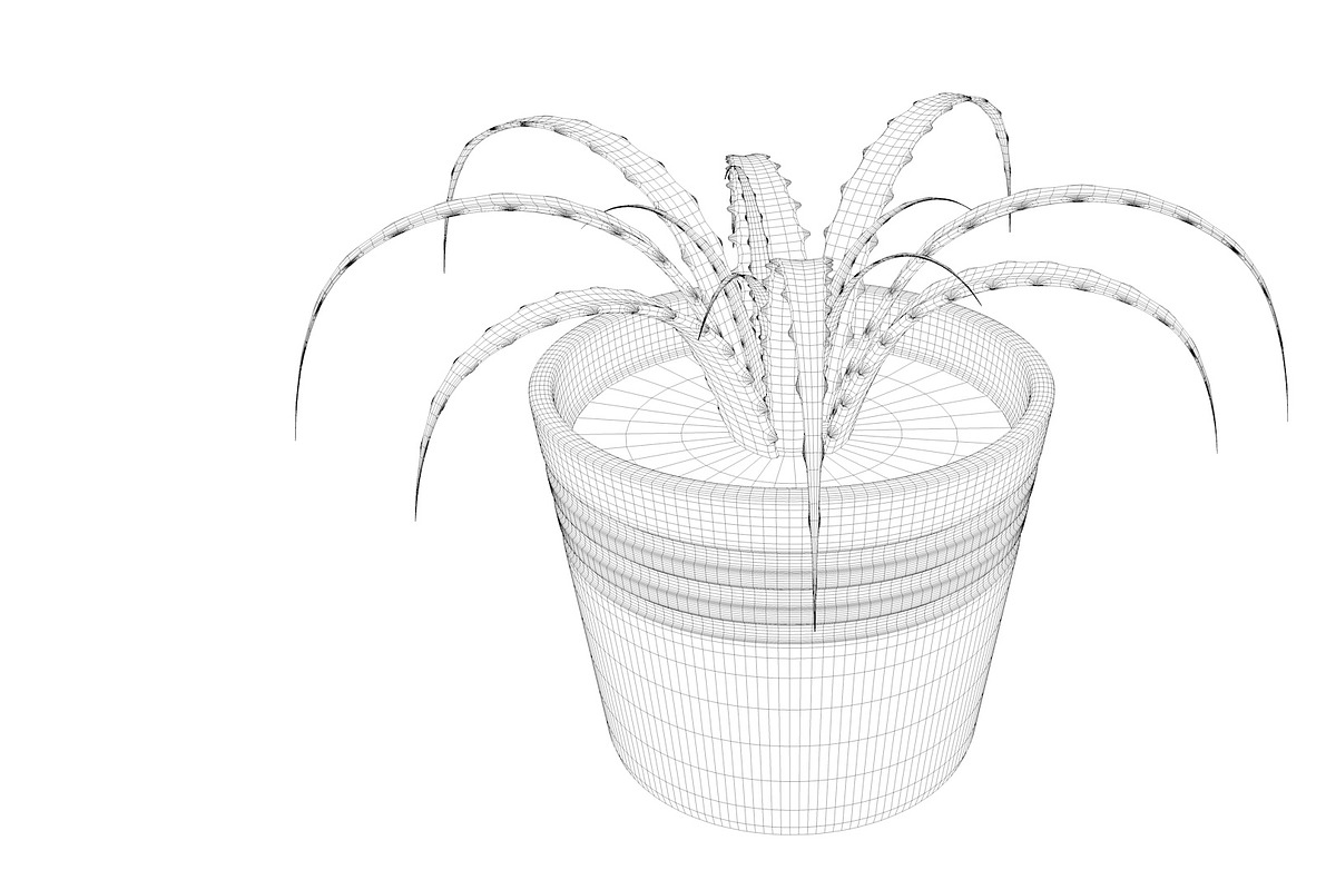 Plant n°1, an Object 3D Model by 3D Furnishing (Photo 19 of 20)