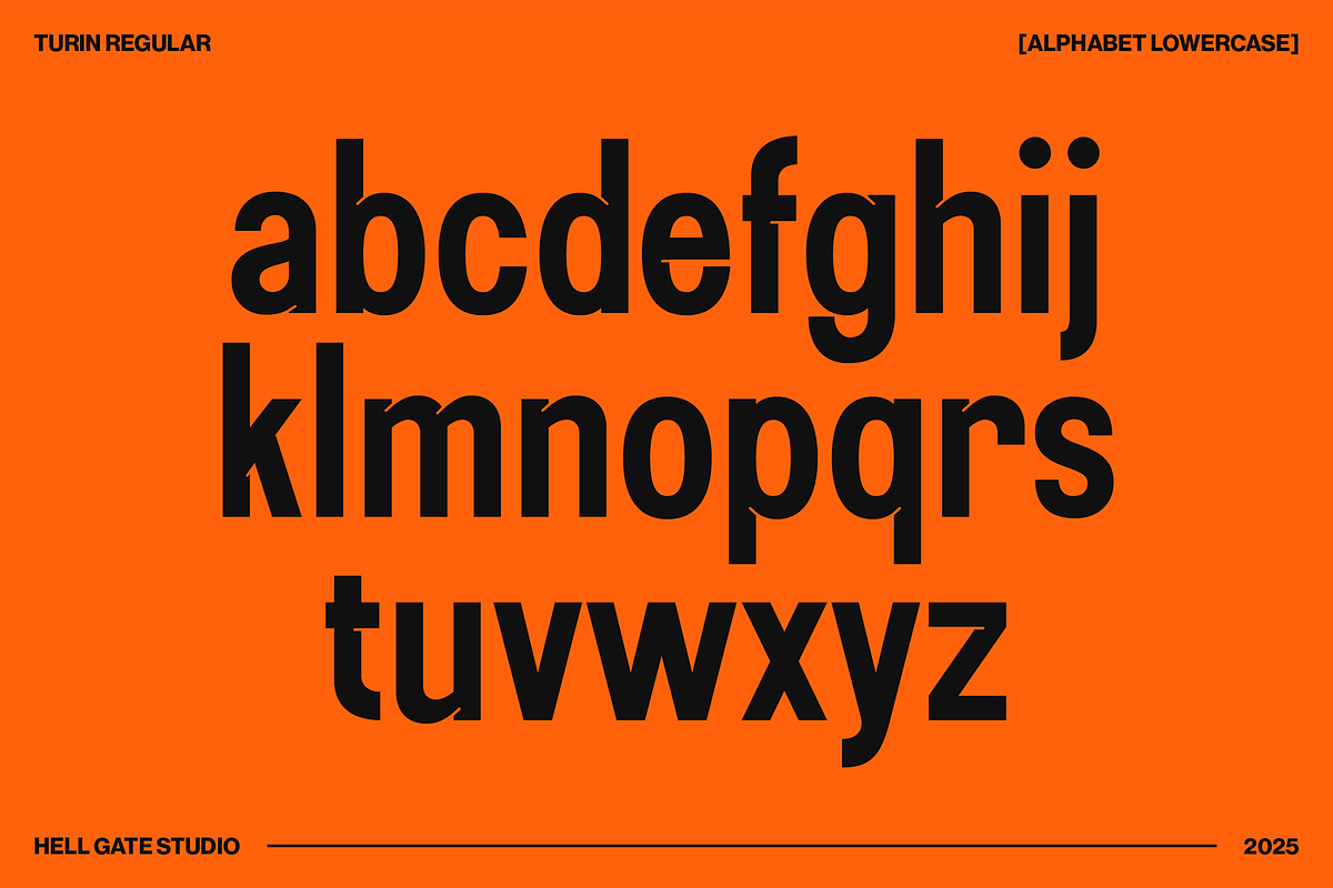 Turin Modern Sans Display, a Sans Serif Font by GRVS Studio (Photo 3 of 14)