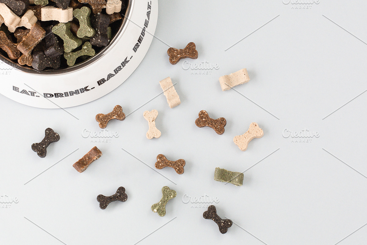 Dog Mama Stock Photo Bundle, an Animal Photo by Savvy Stock Shop (Photo 5 of 8)