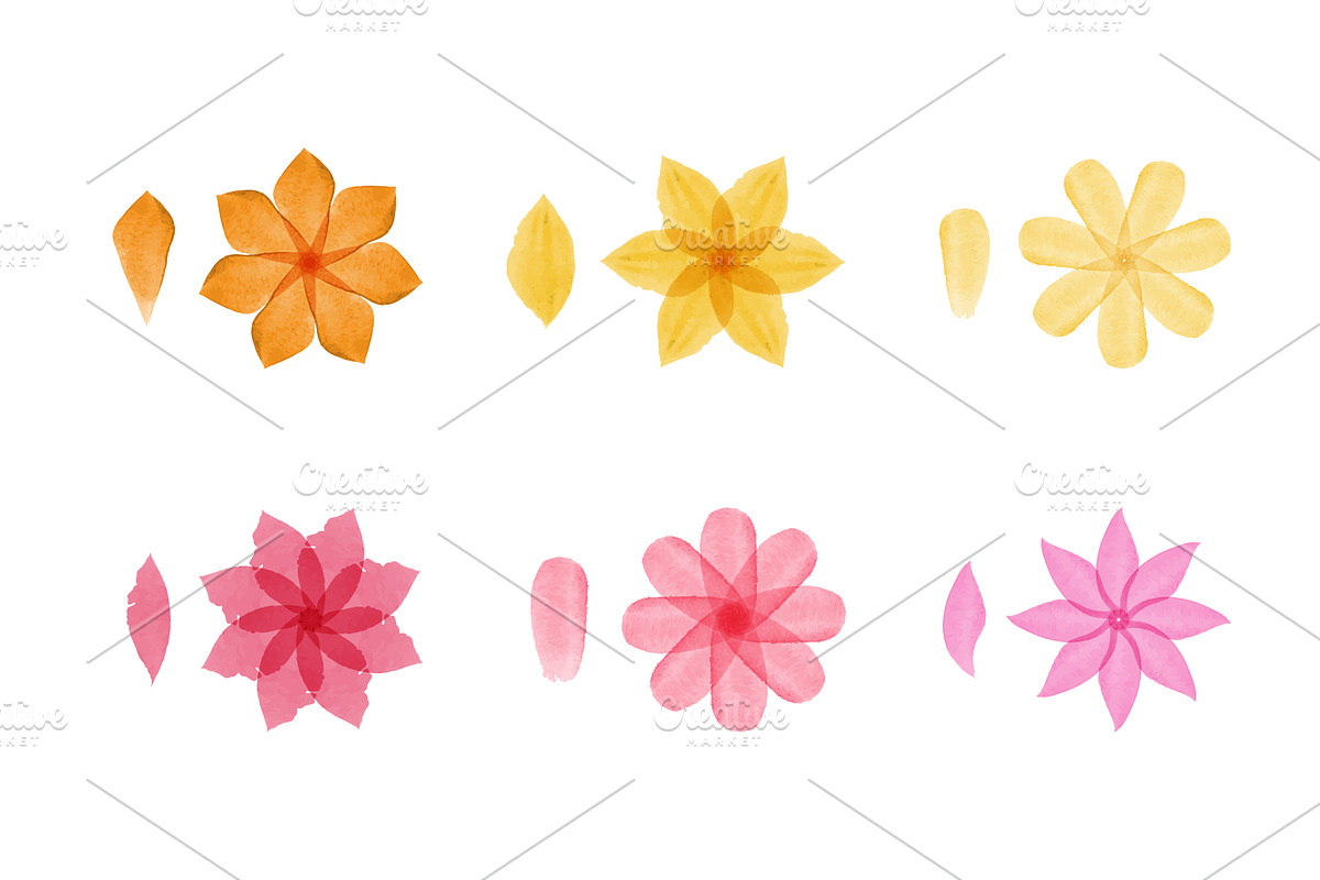 Watercolor flower and petal designs, an Illustration by okskukuruza