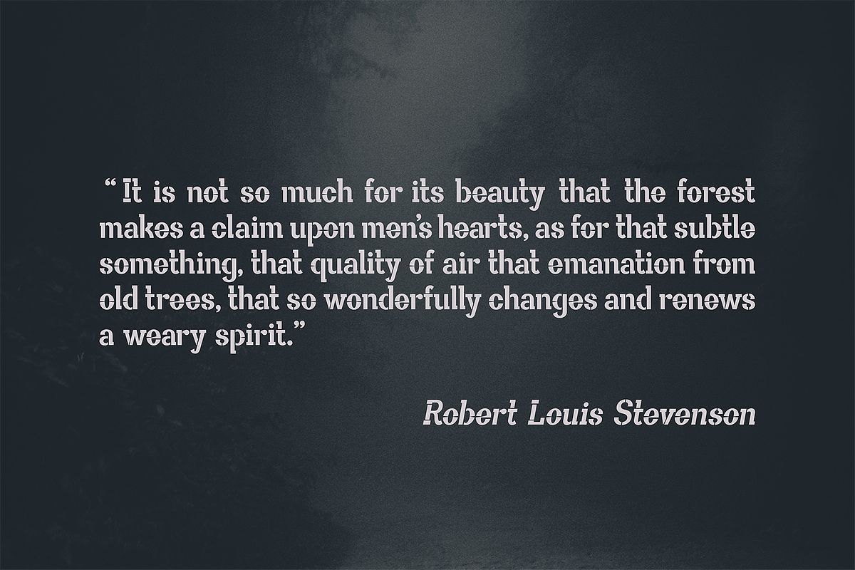 Allegoria Stencil, a Slab Serif Font by Fedfonts (Photo 3 of 8)