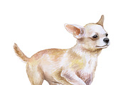 Most Popular Dog Breeds Pet Portrait, an Animal Illustration by Dneprstock (Thumbnail 7 of 23)