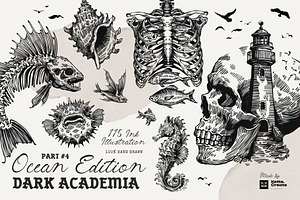 Dark Academia Ocean | Illustration, an Object Illustration by KetteCreate