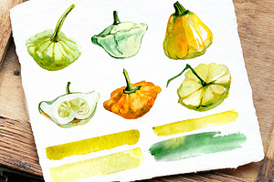 Squash, Watercolor. Vegetables