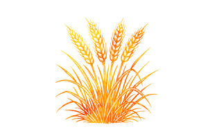Yellow wheat object. Hand drawn. Not, a Food Illustration by Nenahliadava Design