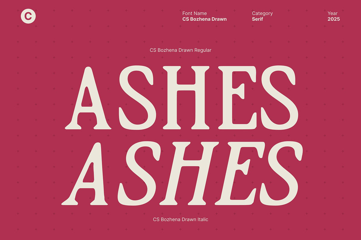 CS Bozhena Drawn, a Serif Font by Craft Supply Co. (Photo 3 of 8)