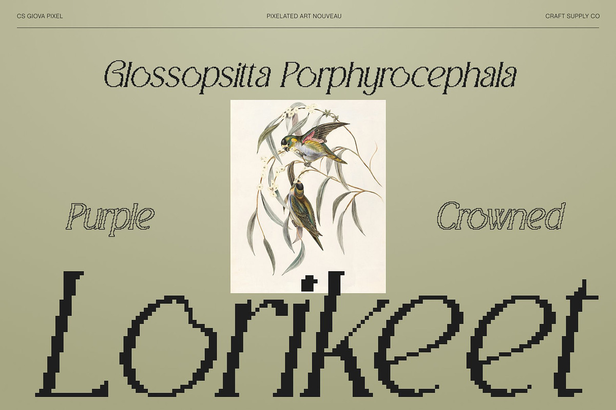 CS Giova Pixel, a Serif Font by Craft Supply Co. (Photo 2 of 8)