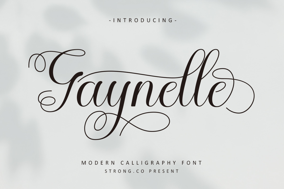 Gaynelle Script, a Script Font by Strong.co (Photo 1 of 10)